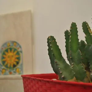 Jasmin San Vito Lo Capo
